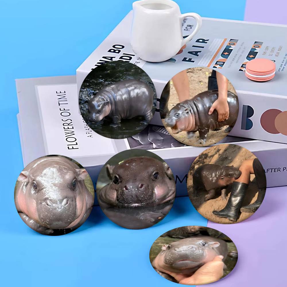 Baby Clothing In Japan - Baby Hippo Moo Deng Badge Tinplate